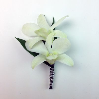 Dendrobium Boutonniere