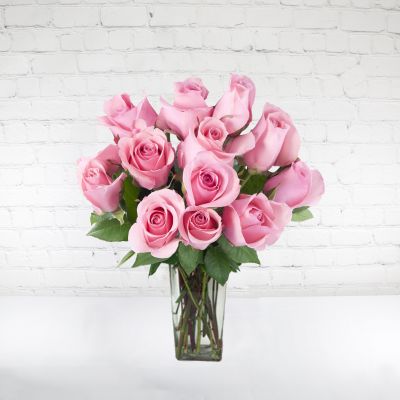 Dozen Pink Roses - New Acct Bouquet