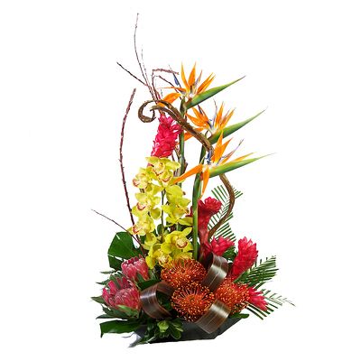 Tropical Arrangement in a Tray
