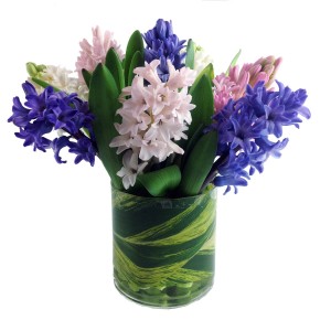 Fresh Cut Hyacinth Code APR16 $40