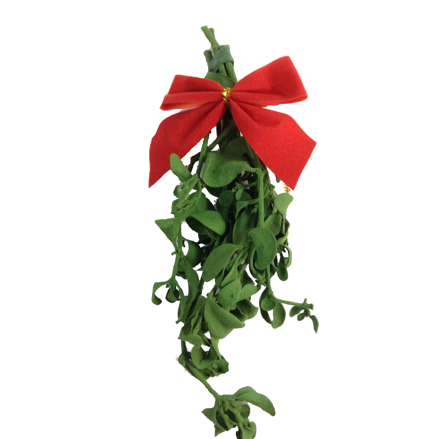 Real mistletoe sales