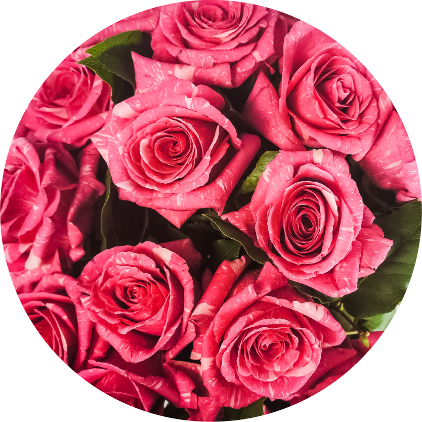 Box of Rose Petals :: Ashland Addison Florist Co.