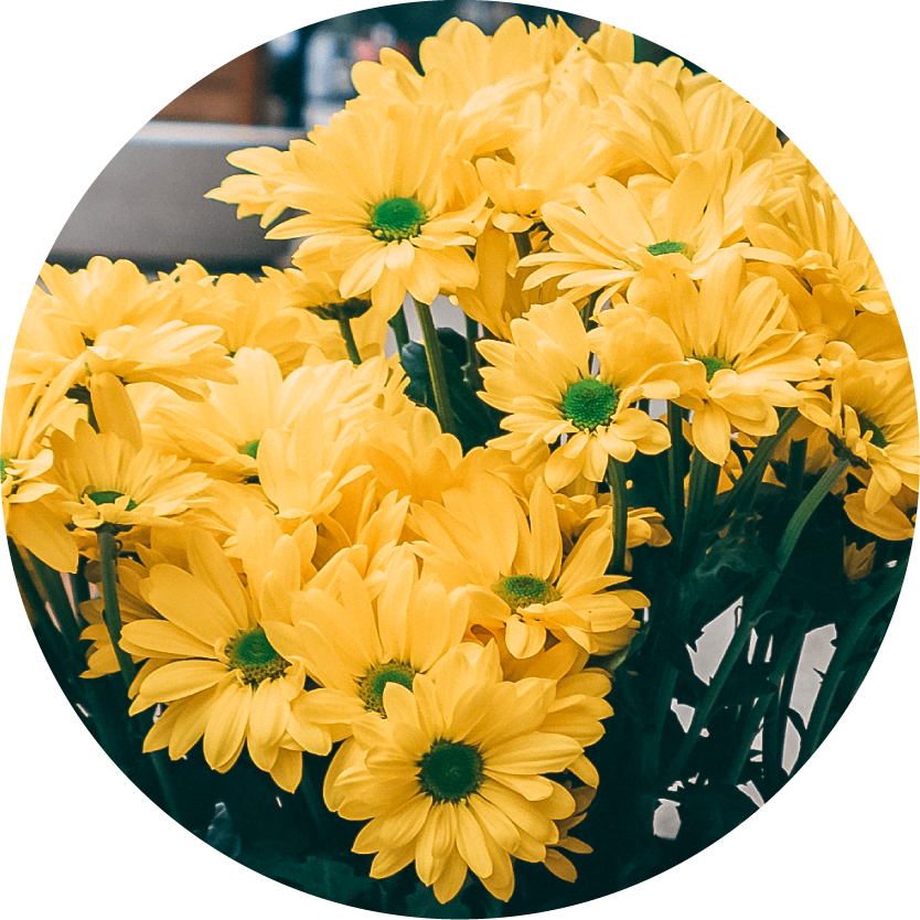 Yellow Flower Bouquets for Chicago Delivery