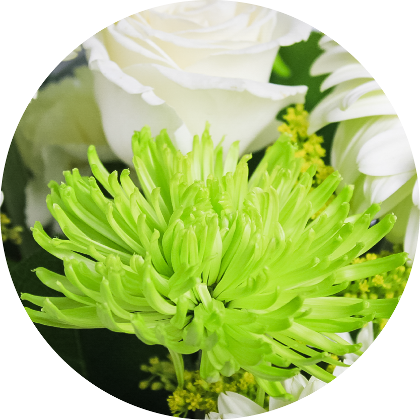 Green Flower Bouquets for Chicago Delivery