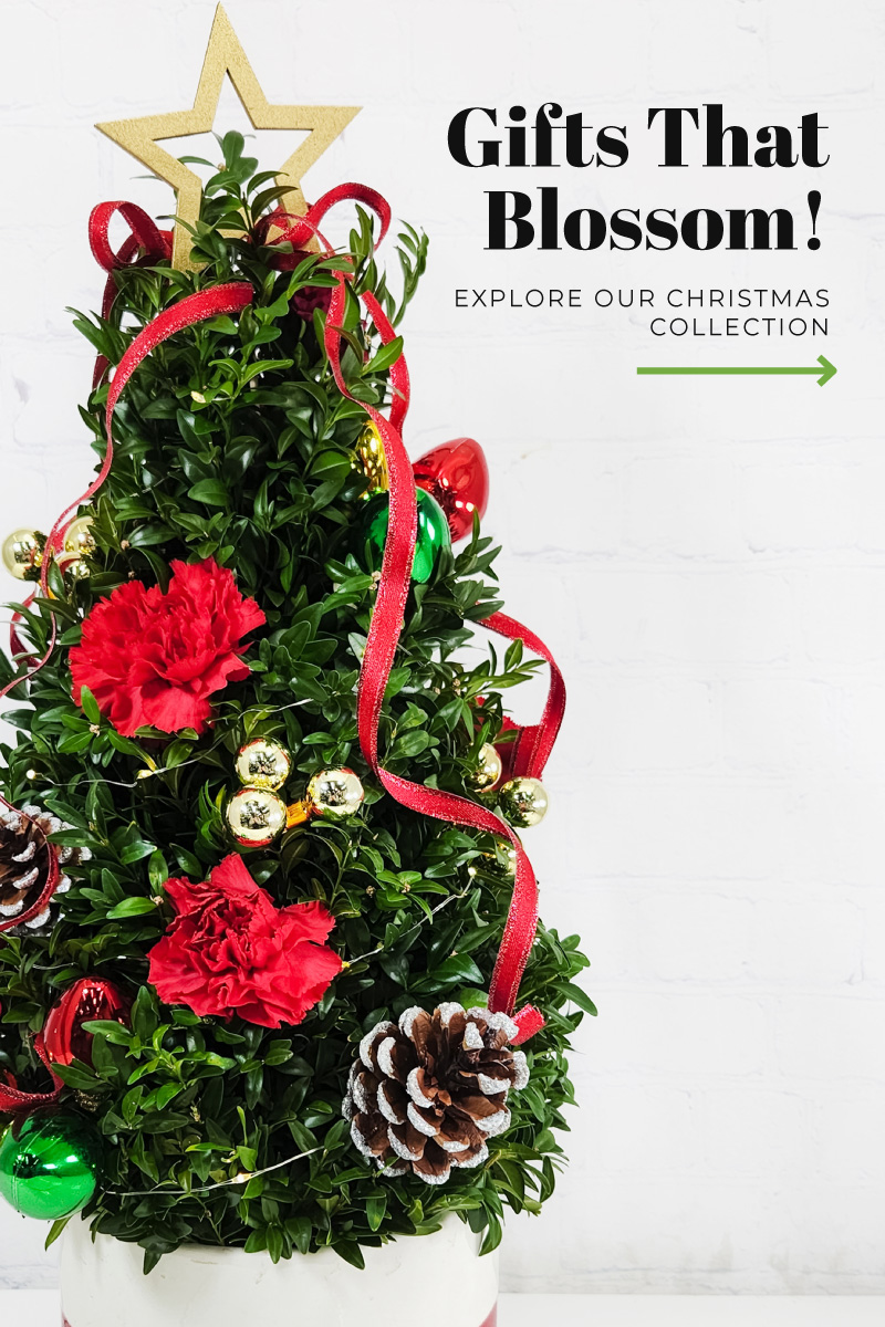 Christmas Flower Bouquet Delivery in Chicago