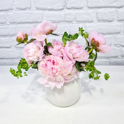 Peony Special