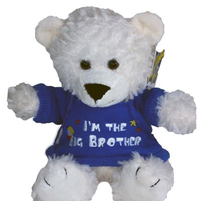 Big Brother Bear
