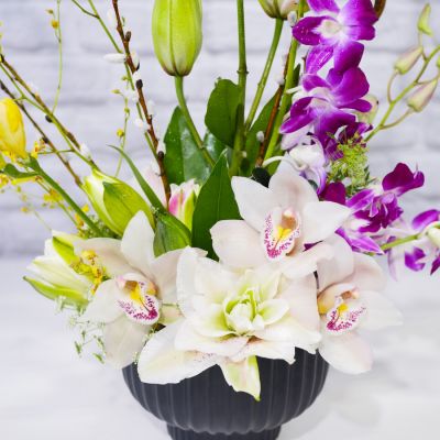 Orchids In Vogue