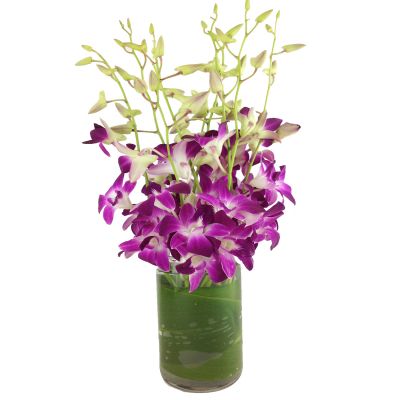 Bouquet of the Month - Orchids