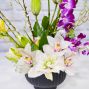 Orchids In Vogue