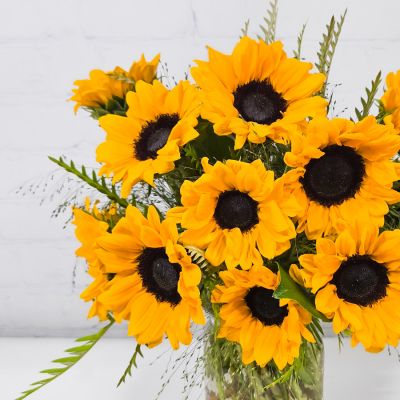 Mini Sunflower Dozen