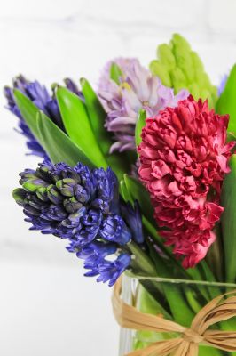 Heavenly Hyacinth Bouquet - SOLD OUT