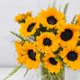 Mini Sunflower Dozen