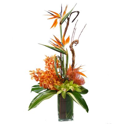 Tropical Vased Arrangement