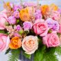 Peach Blossom Dreams