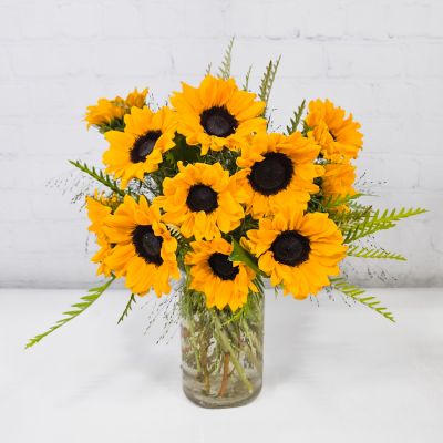 Mini Sunflower Dozen