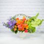 Colorburst