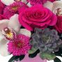 Jewel Collection: Rose Quartz