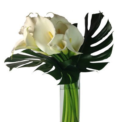 Elegant White Callas