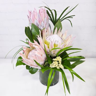 King Protea Special
