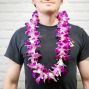 Single Orchid Lei