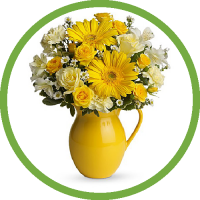 TEL Sunny Day Pitcher of Cheer