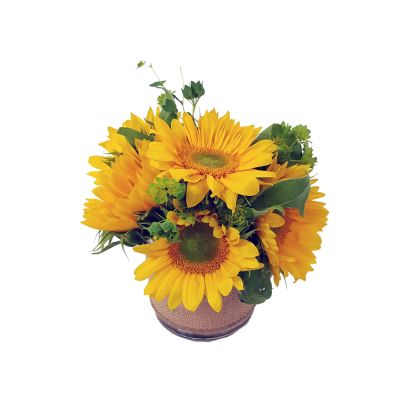 Sunflower Fields - small 