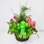 European Garden In Moss Basket - Small