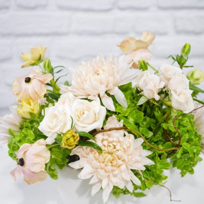 Blush & Bloom