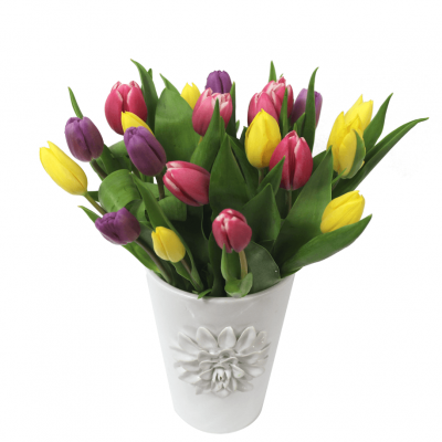 Tulips for Mom