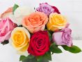 National Rose Month Special