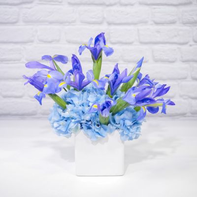 Iris Skies
