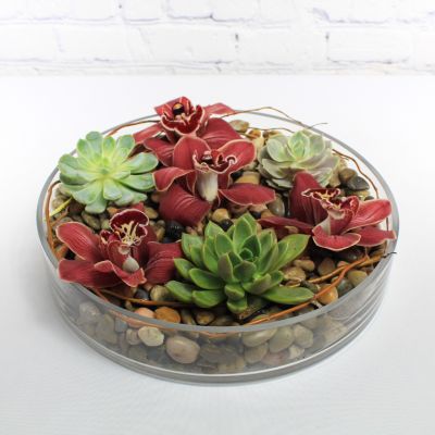 Zen Succulent Garden