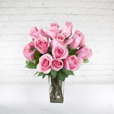 12 Pink Roses