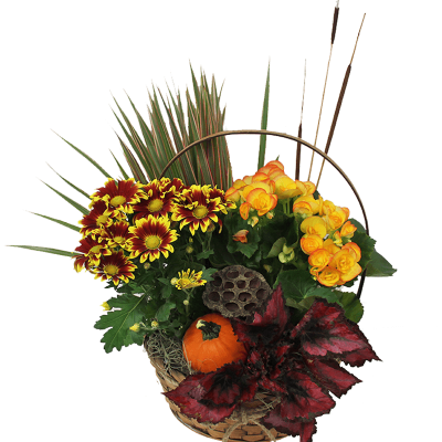 Fall European Dish Garden (Medium)