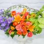 Colorburst