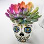 Sugar Skull Set