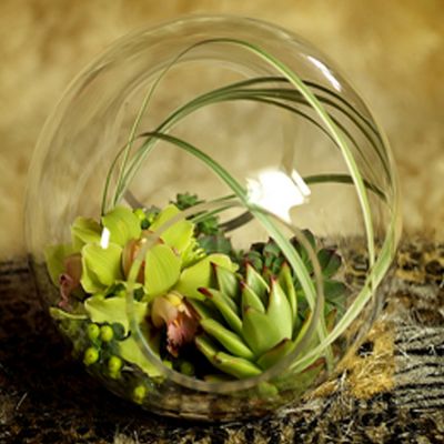 Special Globe Planter