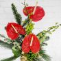 Tropical Christmas