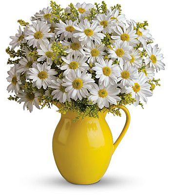 TEL Sunny Day Pitcher of Daisies