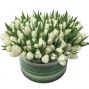 White Tulips Luxe
