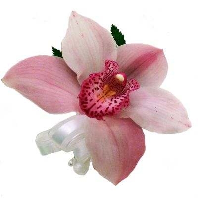 Cymbidium Orchid Corsage