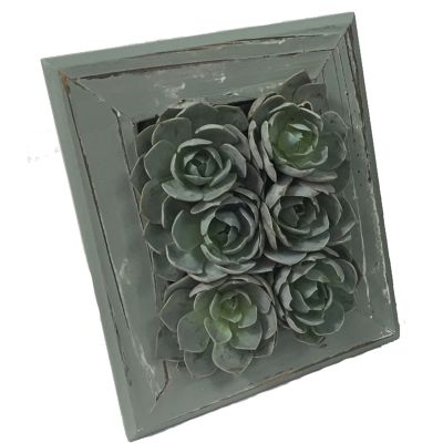 Succulent Frames
