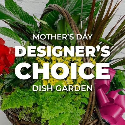 Mother's Day Designer's Choice Dish Garden