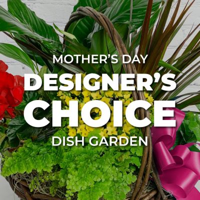 Mother's Day Designer's Choice Dish Garden