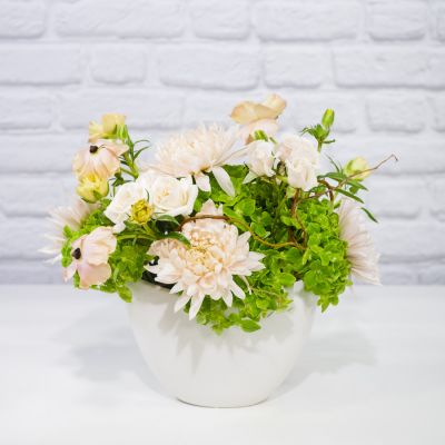 Blush & Bloom