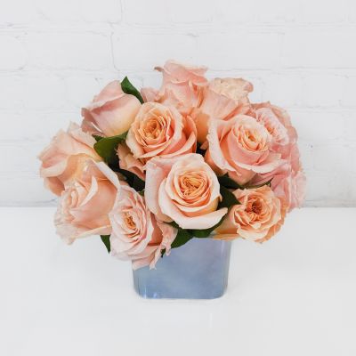Shimmer Rose Special