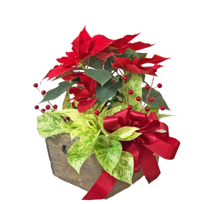 Small Christmas Euro Basket