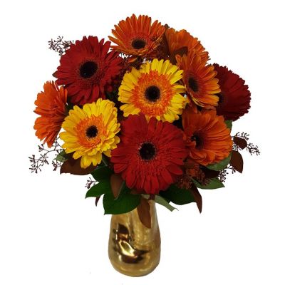 Fall Gerbera Daisies