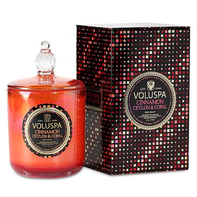 Voluspa Candle - Cinnamon Ceylon & Copal 